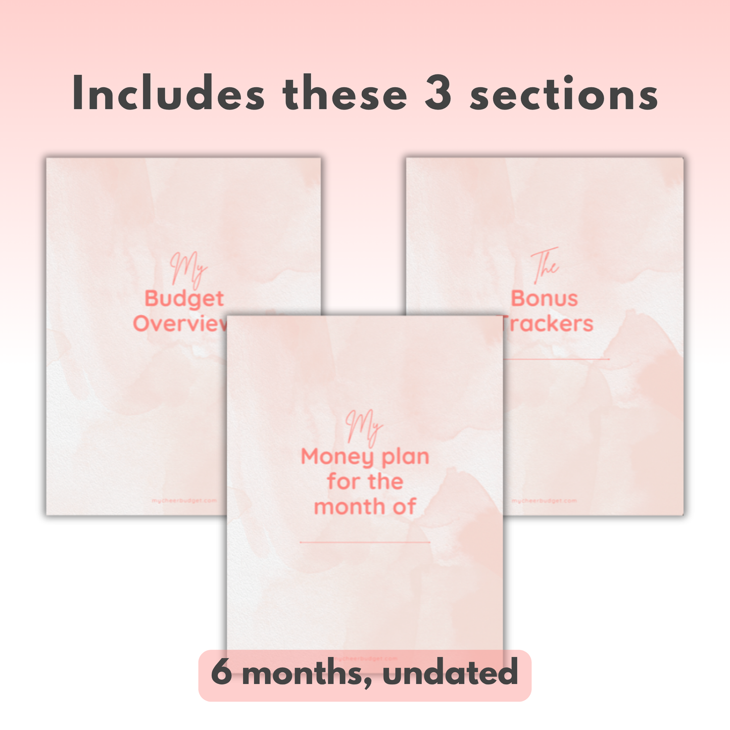 Biweekly Paycheck Planner | Digital Download