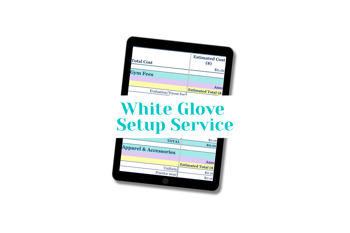 add-on white glove setup service for the cheer budget calculator spreadsheet. I'll do the work for you to add your gym's expenses.