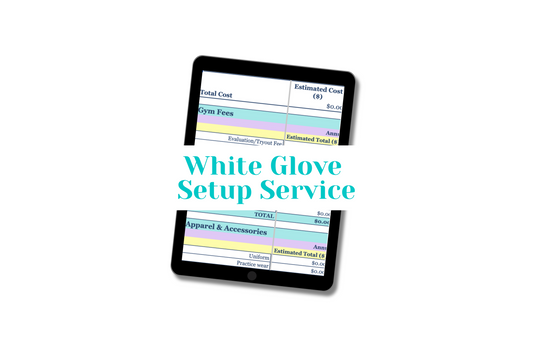 add-on white glove setup service for the cheer budget calculator spreadsheet. I'll do the work for you to add your gym's expenses.