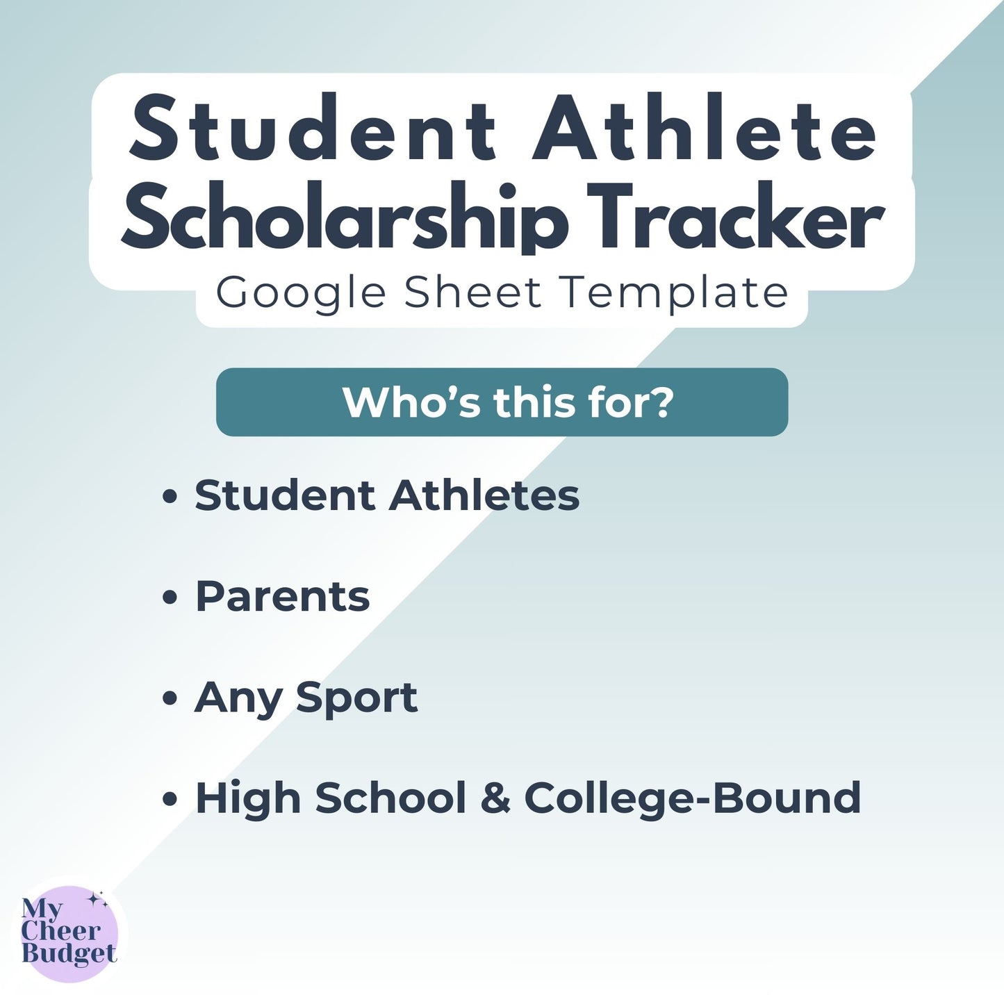 Scholarship Tracker for Student Athletes - Google Sheets Template
