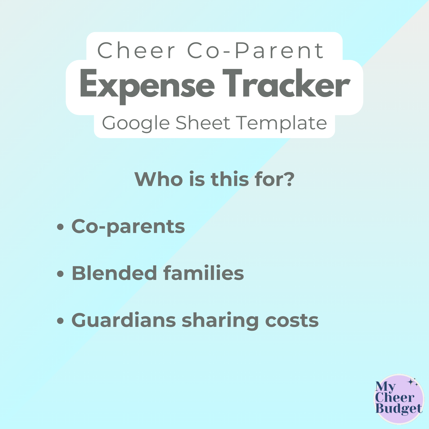 Co-Parent Expense Tracker | Google Sheets Template
